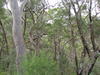 P5010046.JPG